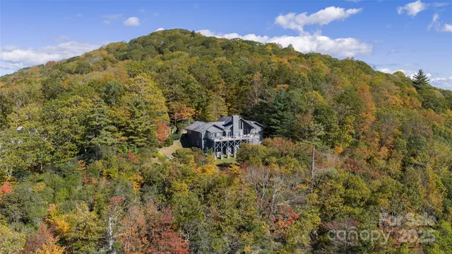 a view of a yard with an outdoor space