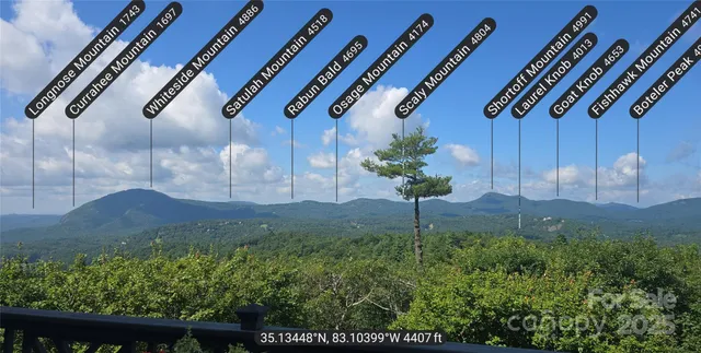 a view of a big yard with lots of green space