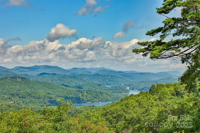 a view of a lake in middle of forest