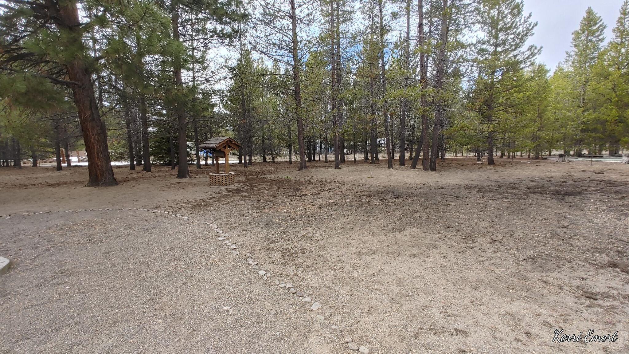 146624 Junos Road Gilchrist, OR 97737 - Photo 17 of 18 Back yard picture 2