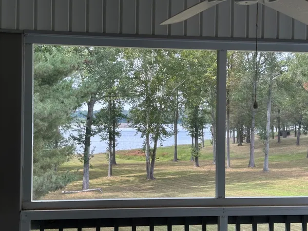 a view of a backyard with large trees and wooden fence