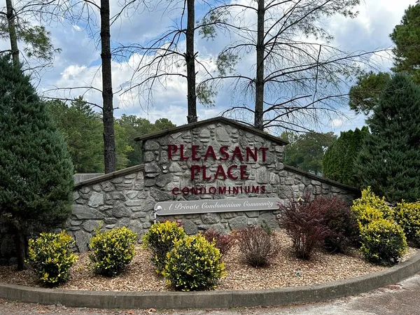 a view of a yard with plants