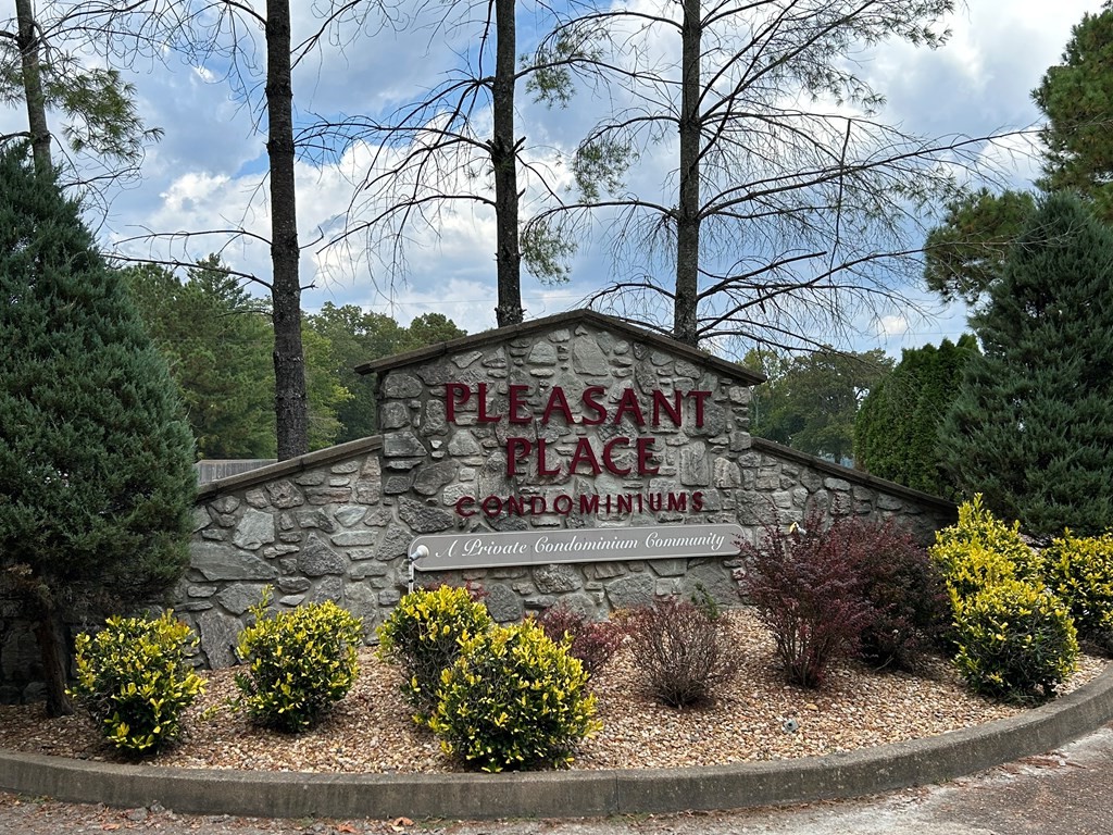 35 Pleasant Lane, Unit F3 Springville, TN 38256 - Photo 4 of 22 a view of a yard with plants