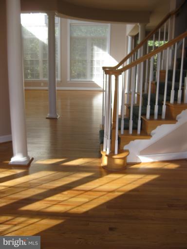 3614 Becherer Road Alexandria, VA 22309 - Photo 22 of 30 Interior (General)
