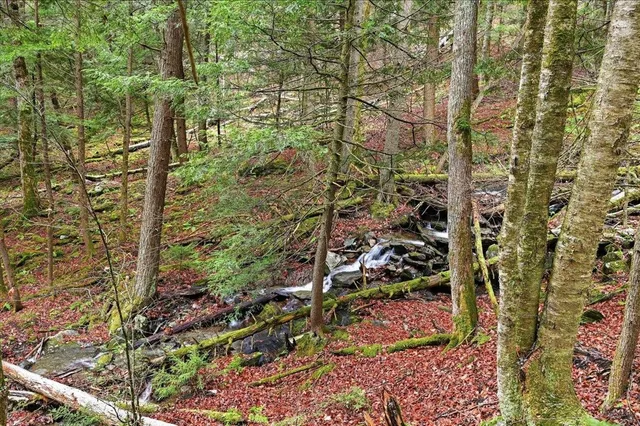 $250,000 | 1075 Butternut Hill Road, Unit H4, Waitsfield, VT 05673