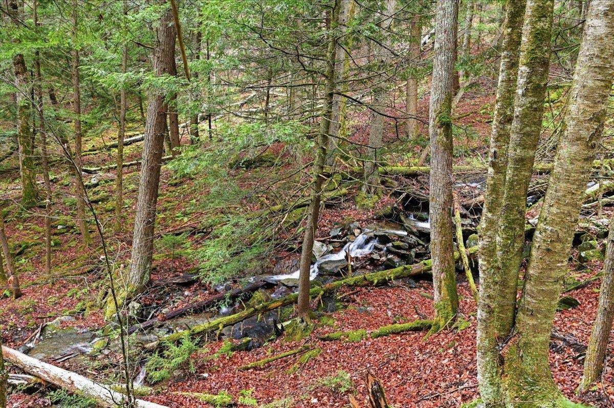 1075 Butternut Hill Road, Unit H4 Waitsfield, VT 05673 - Photo 19 of 23