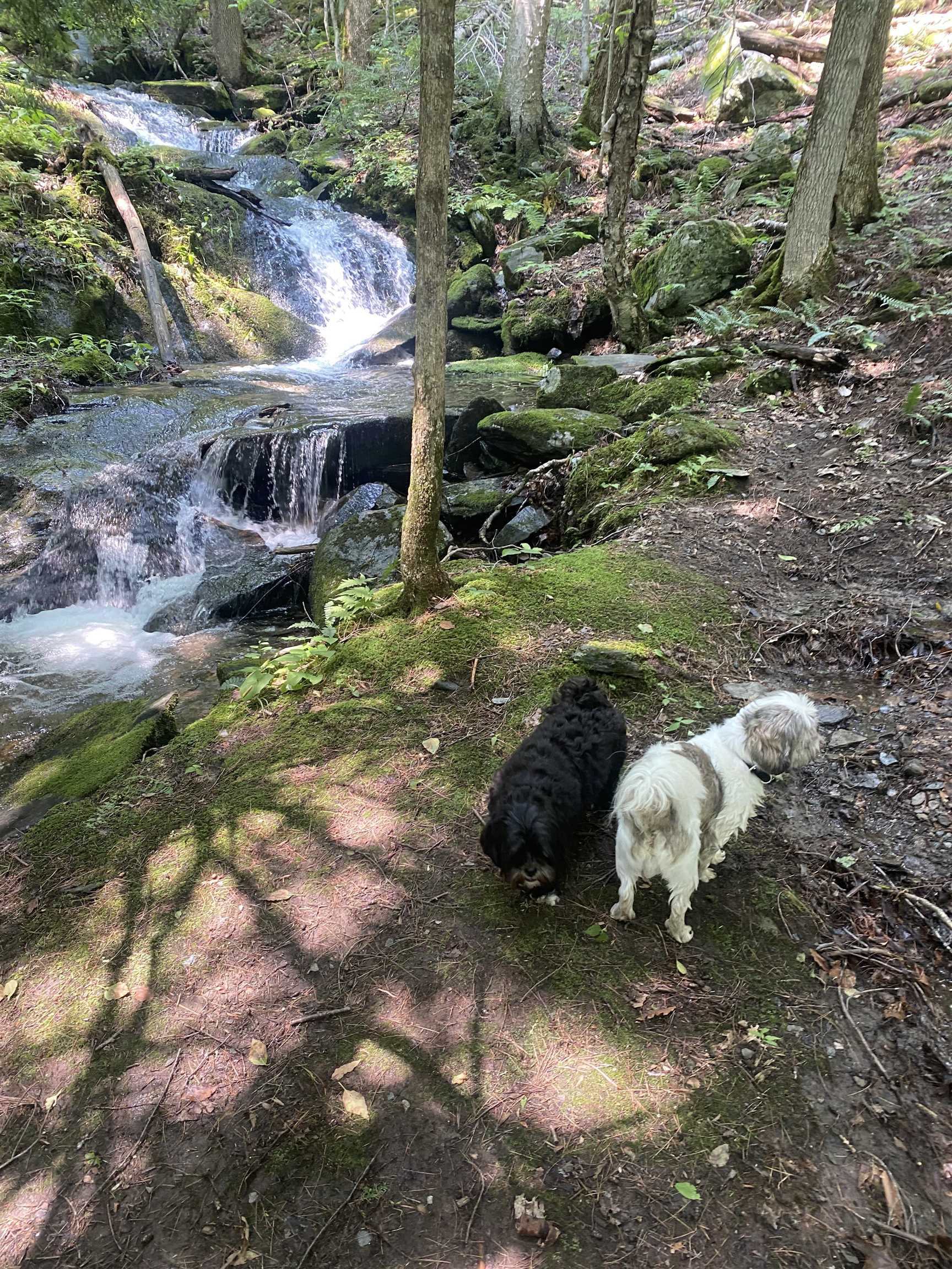 1075 Butternut Hill Road, Unit H4 Waitsfield, VT 05673 - Photo 23 of 23