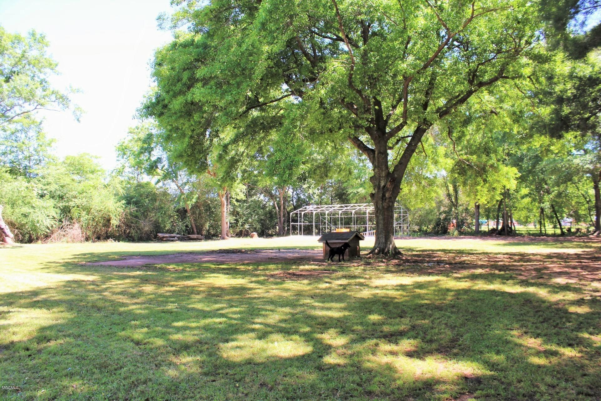 132 Hascal Gunter Road Lucedale, MS 39452 - Photo 34 of 36 34-Back