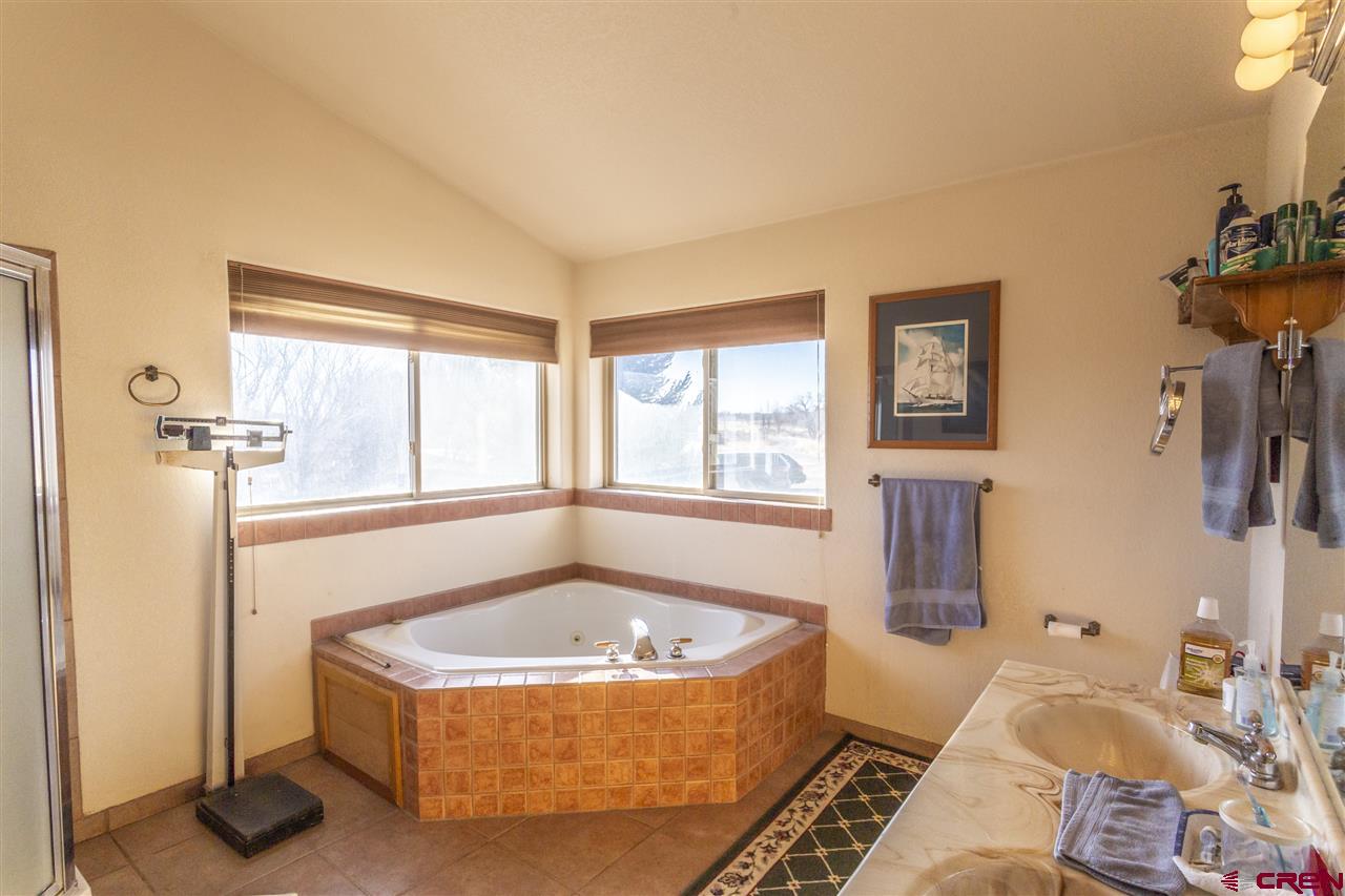 959 1200th Road Delta, CO 81416 - Photo 6 of 34 a bathroom with a tub a window and glass door