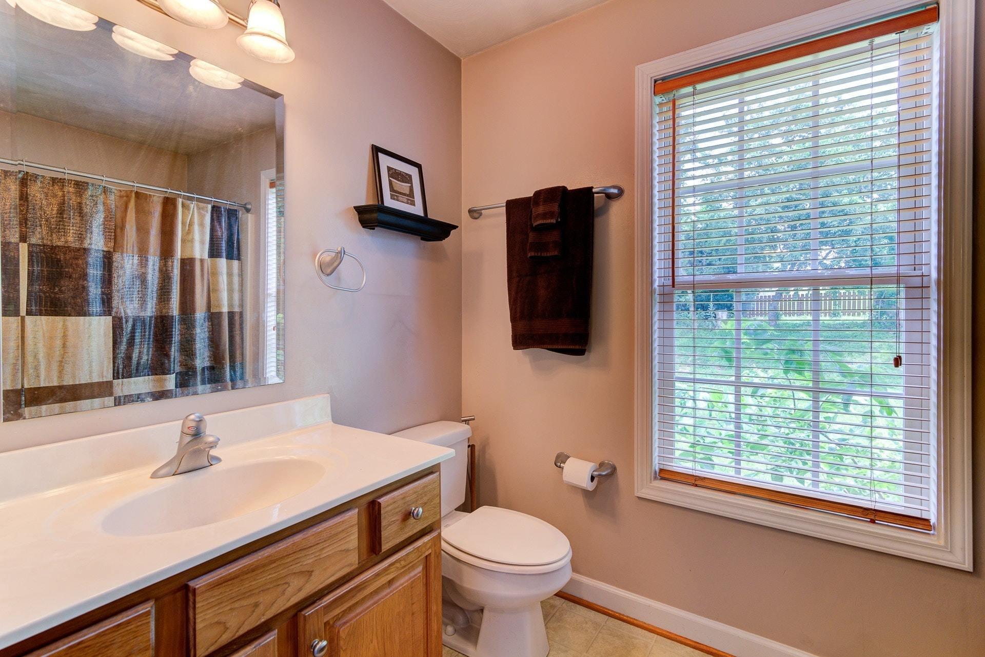 1744 Meadows Road Vinton, VA 24179 - Photo 16 of 36 a bathroom with a sink toilet and a mirror