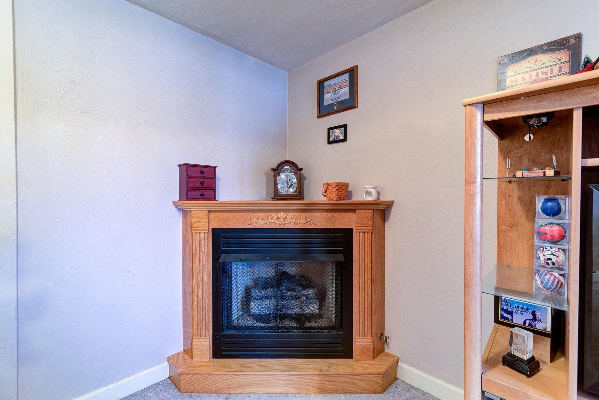 1744 Meadows Road Vinton, VA 24179 - Photo 23 of 36 a close view of a fireplace in a room