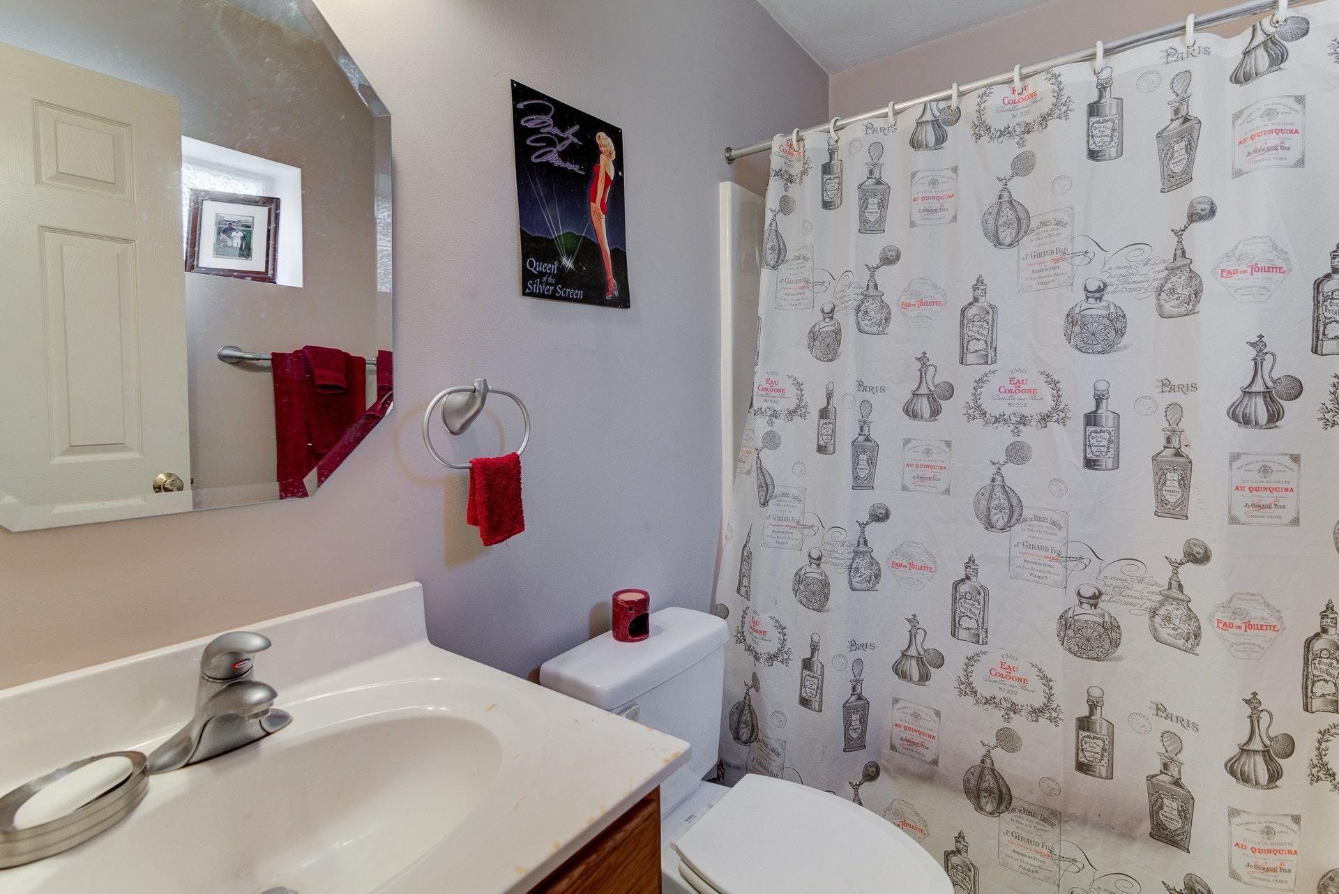 1744 Meadows Road Vinton, VA 24179 - Photo 25 of 36 a bathroom with a sink toilet and a mirror