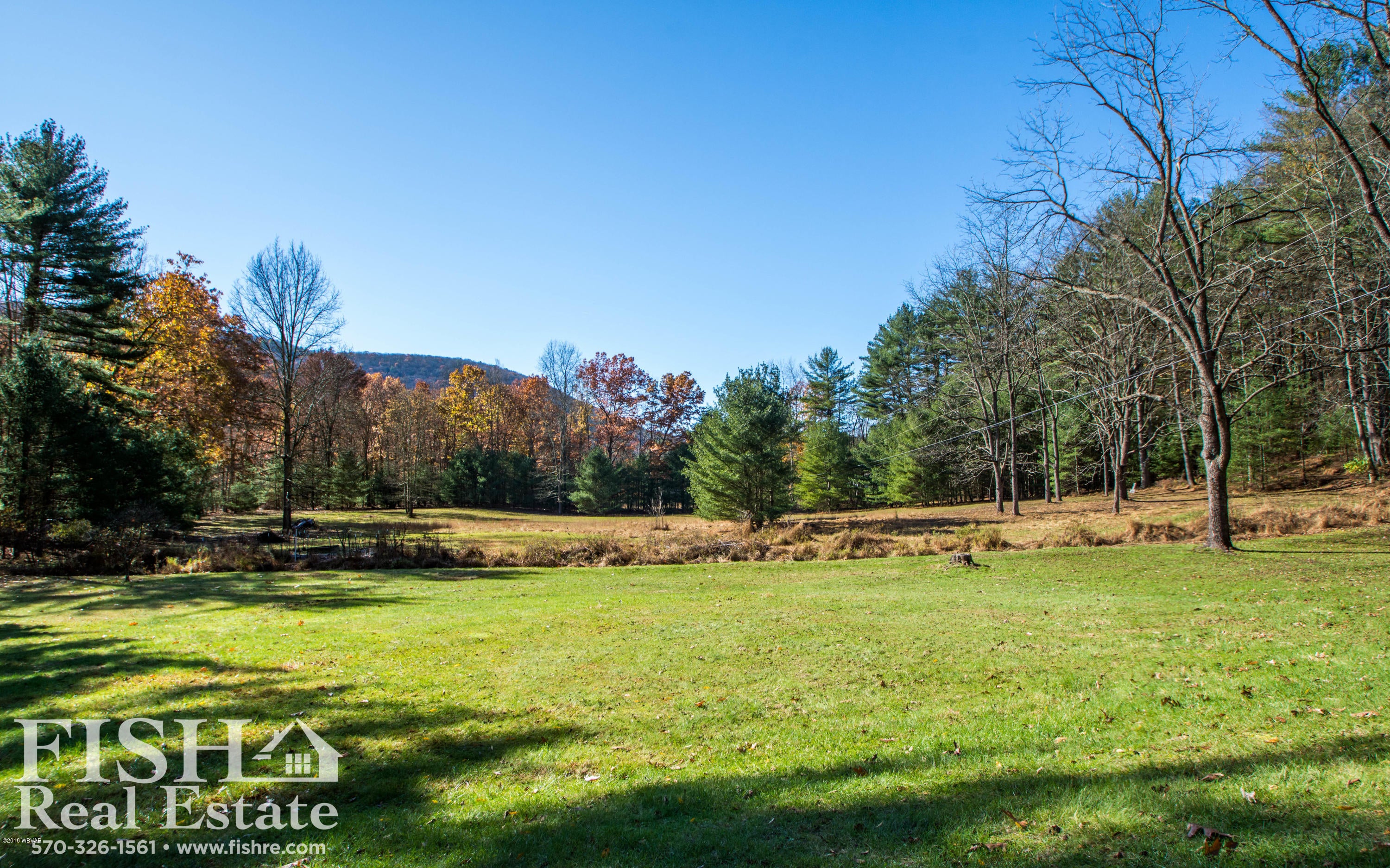888 Butternut Grove Road Montoursville, PA 17754 - Photo 7 of 9 Field