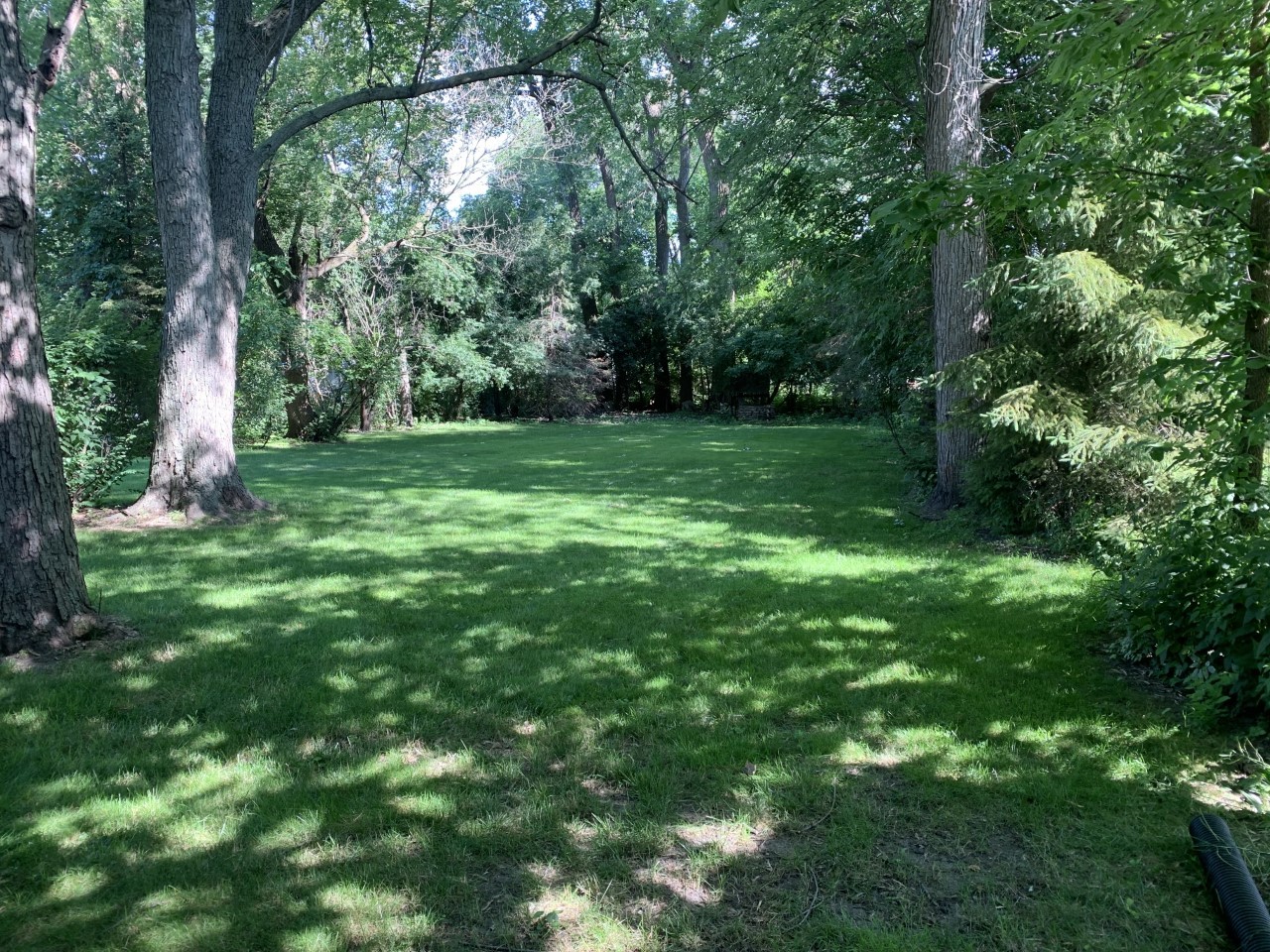 159 Lawton Road Riverside, IL 60546 - Photo 3 of 24