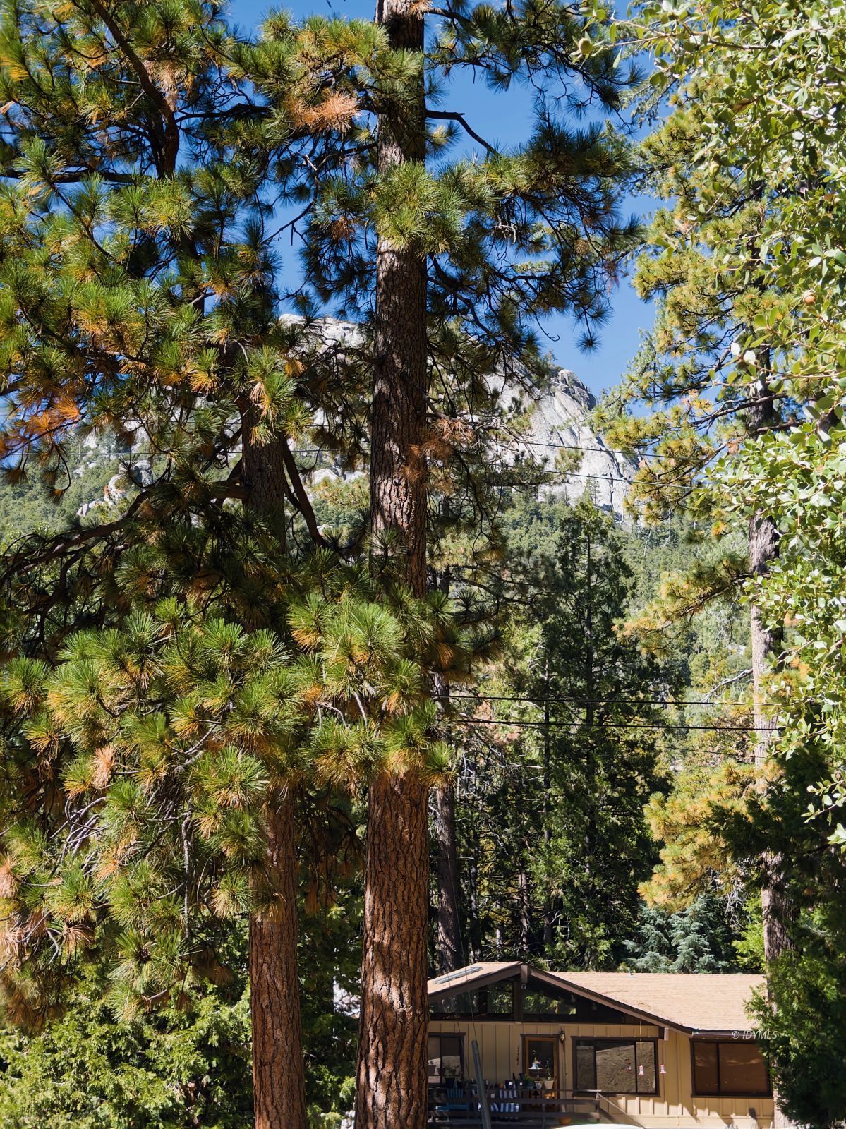 Forest Drive Idyllwild, CA 92549 - Photo 6 of 9