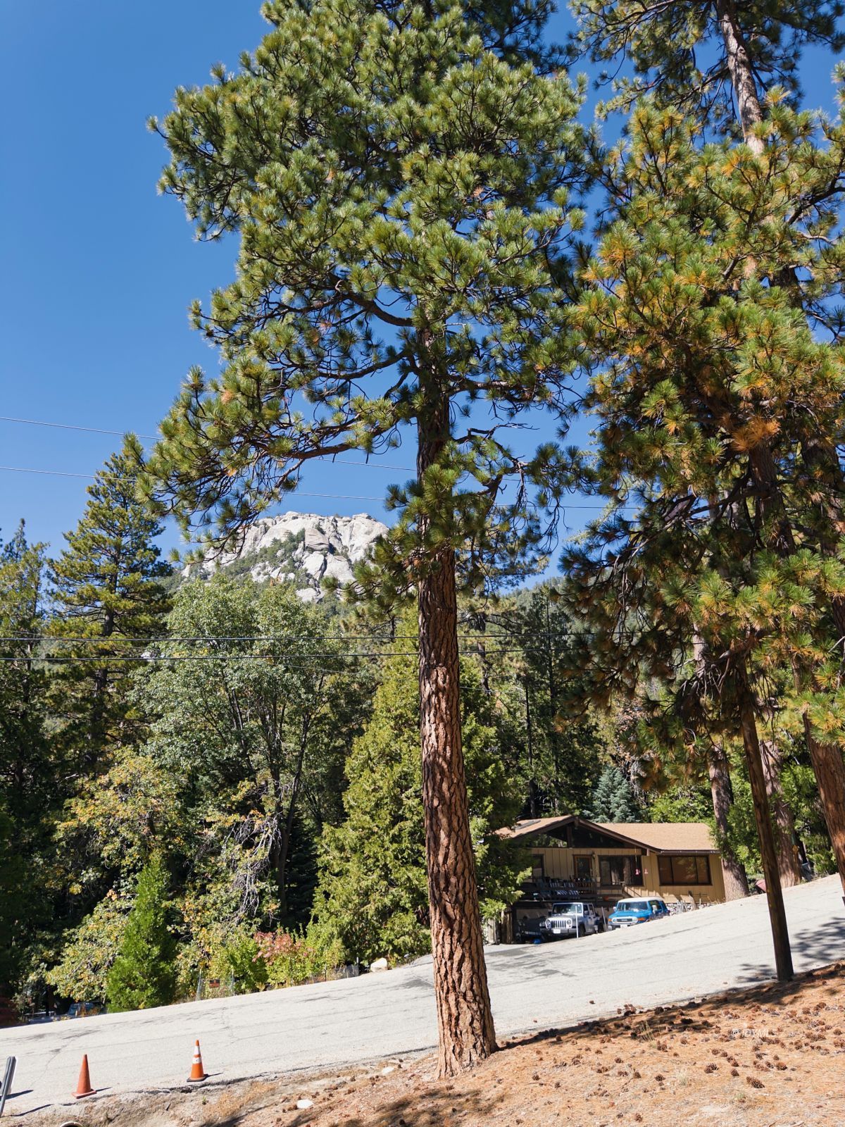 Forest Drive Idyllwild, CA 92549 - Photo 9 of 9 a view of a backyard of the house