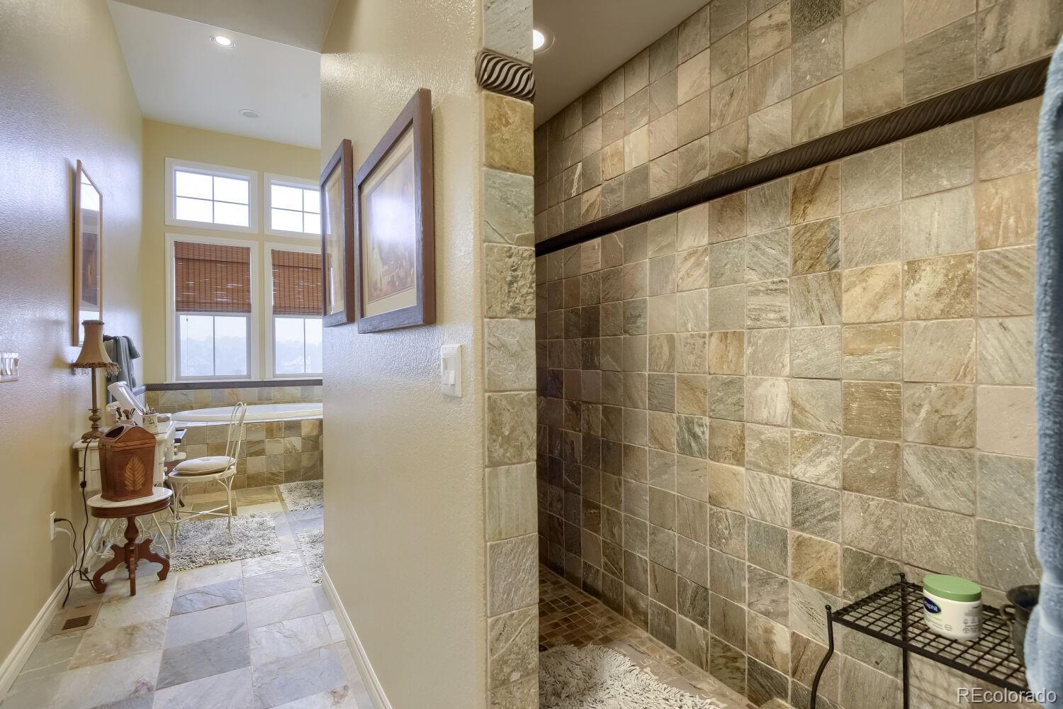 9309 Viaggio Way Highlands Ranch, CO 80126 - Photo 20 of 47