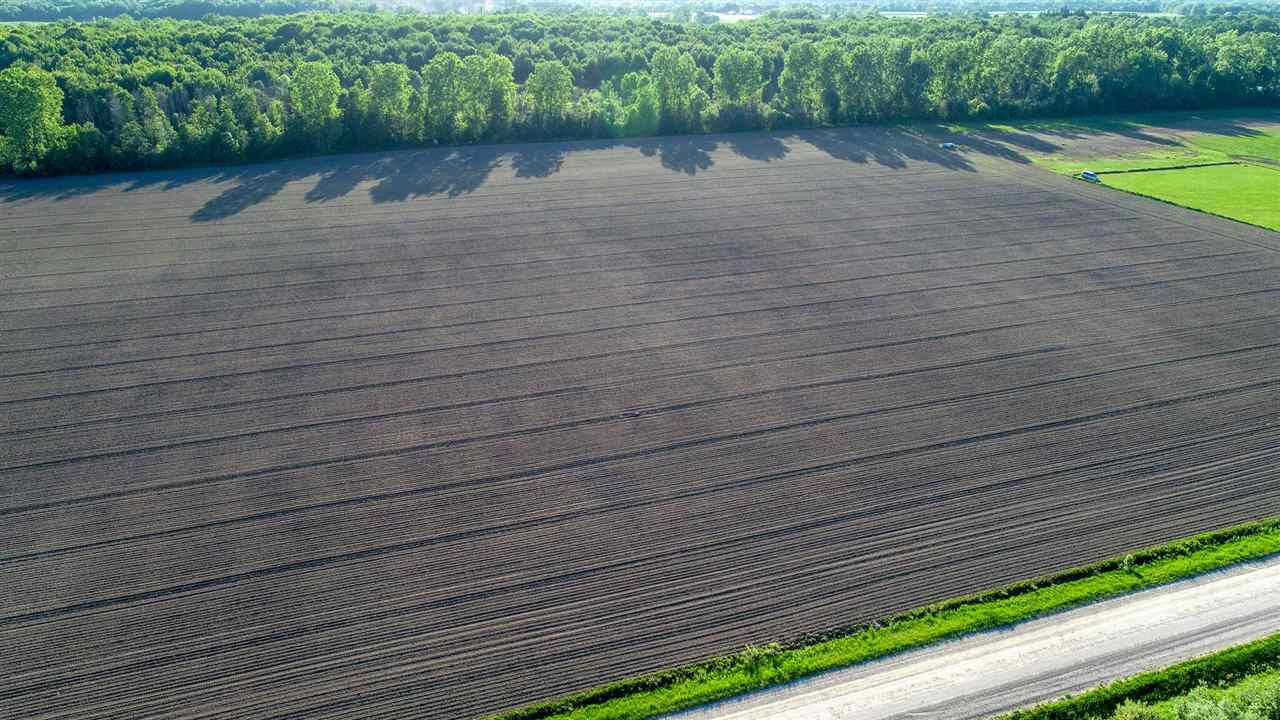 Vacant Kilburn Road Jeddo, MI 48032 - Photo 4 of 5