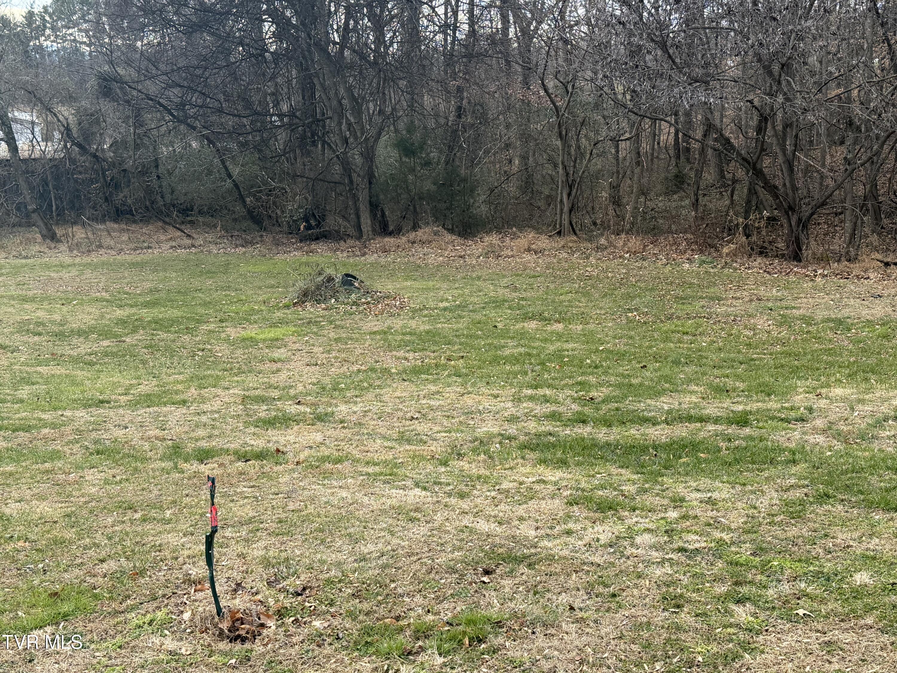 Tbd Lot 2 Tbd Road Jonesborough, TN 37659 - Photo 3 of 9 IMG_8888