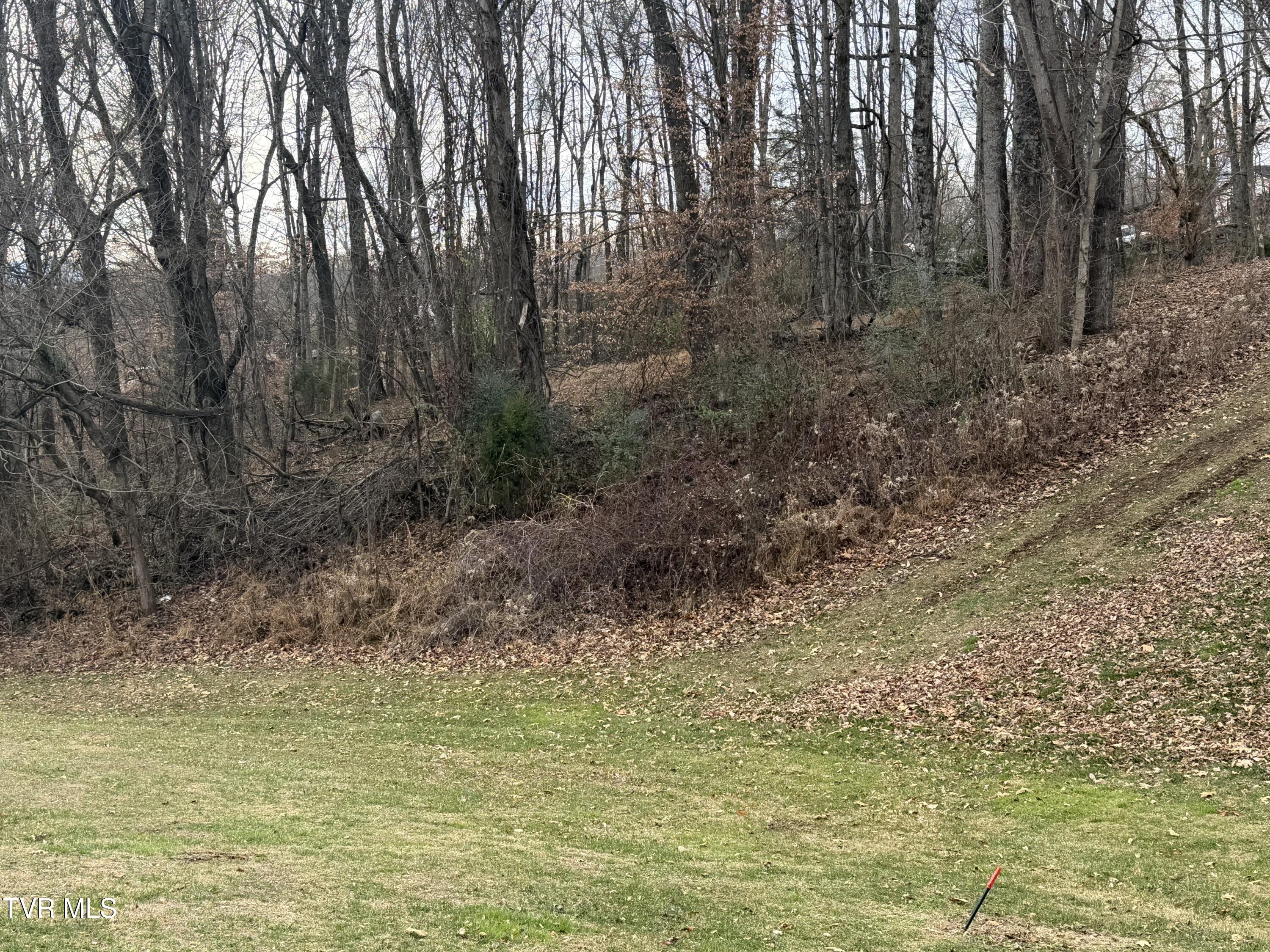 Tbd Lot 2 Tbd Road Jonesborough, TN 37659 - Photo 4 of 9 IMG_8891