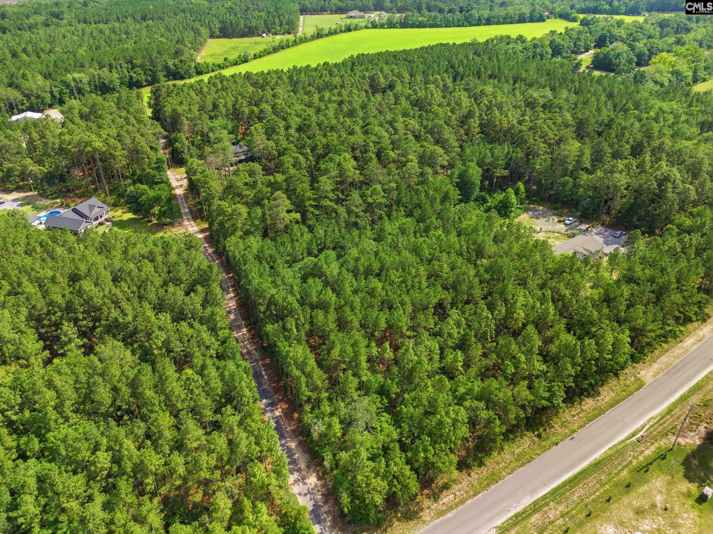 947 Ben Franklin Road Gilbert, SC 29054 - Photo 56 of 60