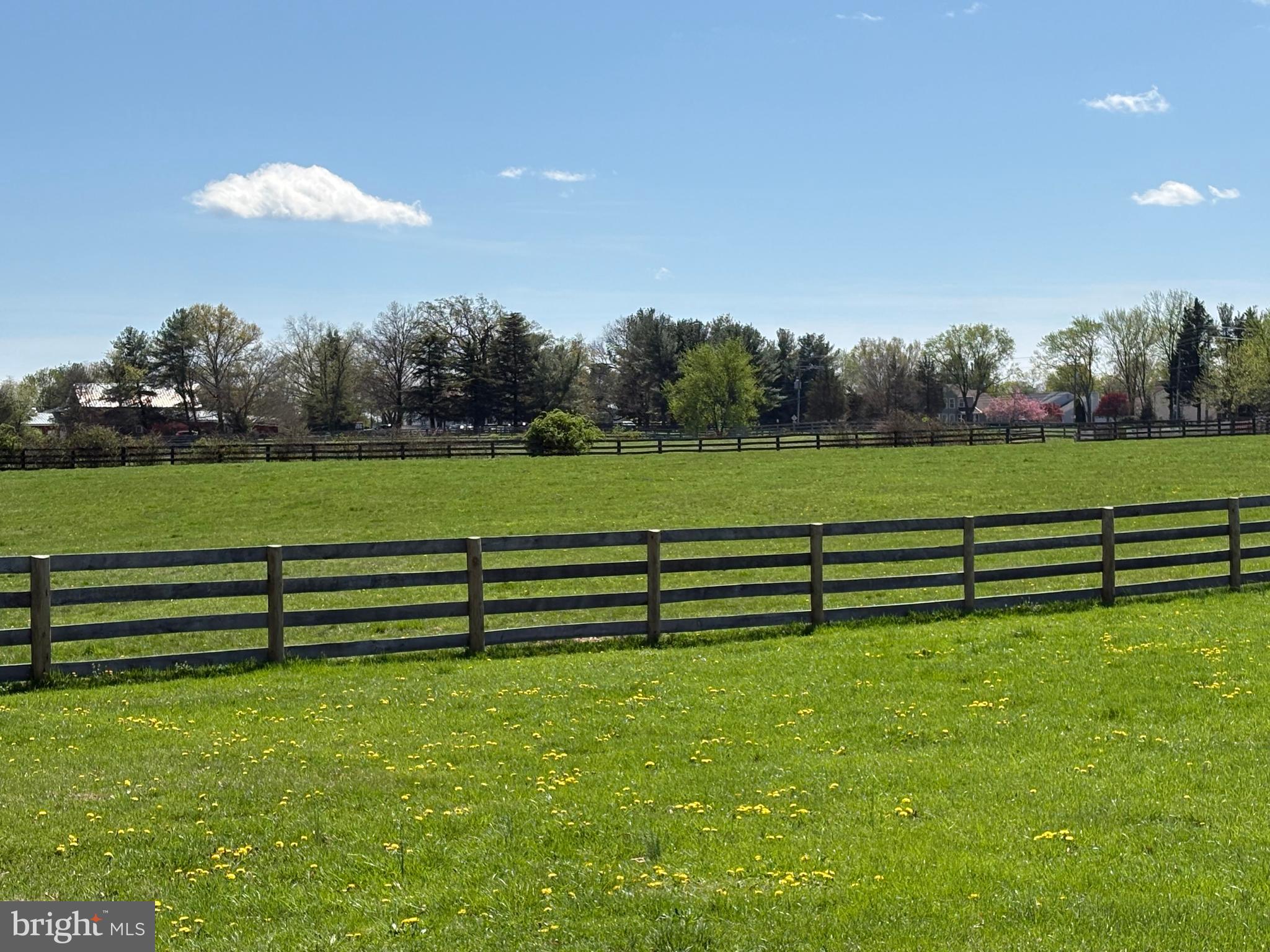 13385 Point Rider Lane Herndon, VA 20171 - Photo 59 of 66 Fying Pan Park