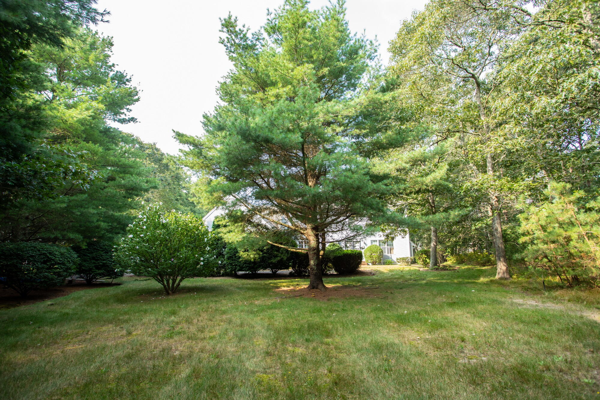 174 Little River Road Cotuit, MA 02635 - Photo 5 of 36 49