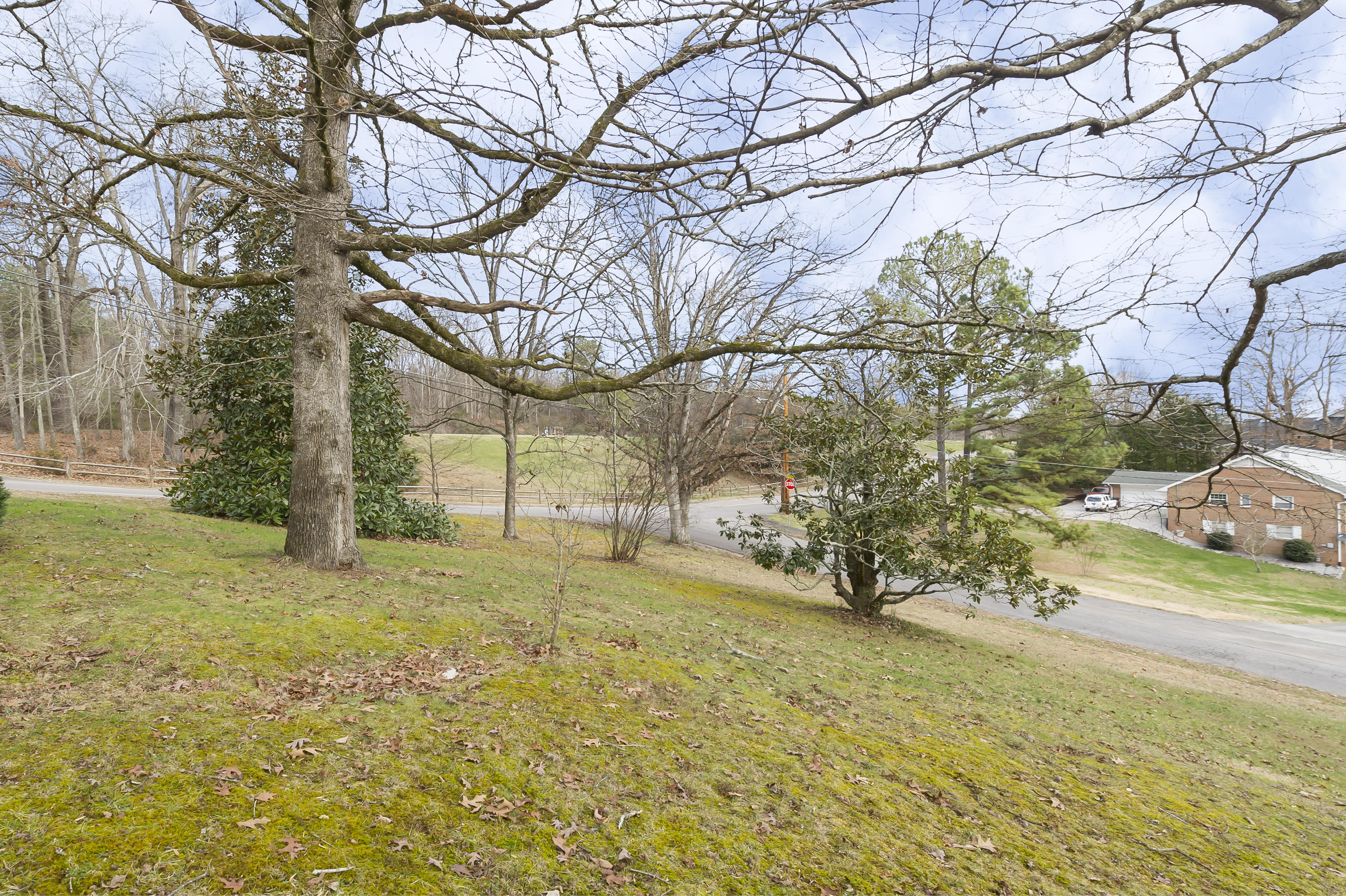 167 Lasalle Road Oak Ridge, TN 37830 - Photo 33 of 38 HOB_3486-Edit