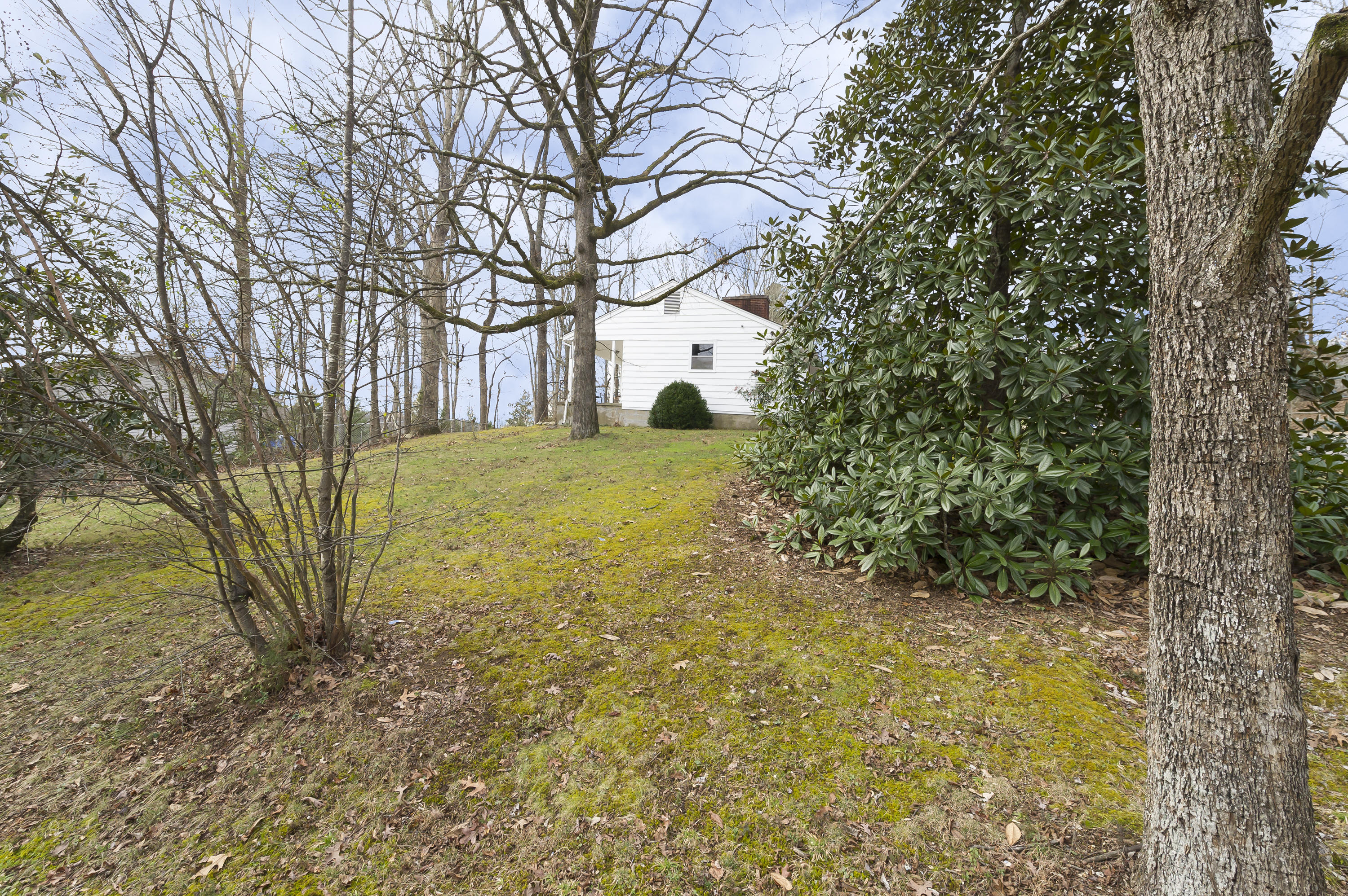 167 Lasalle Road Oak Ridge, TN 37830 - Photo 34 of 38 HOB_3493-Edit
