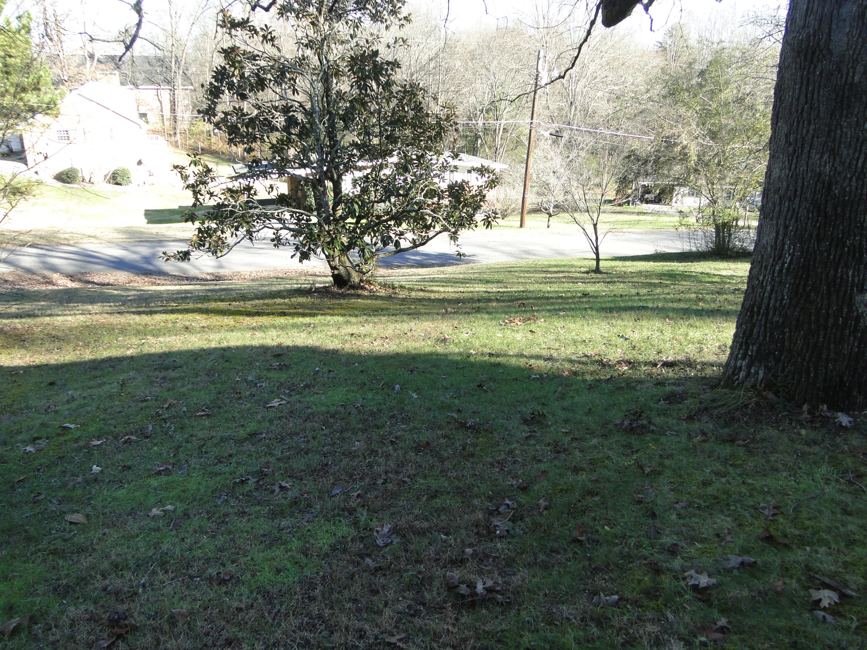 167 Lasalle Road Oak Ridge, TN 37830 - Photo 35 of 38 DSC05723