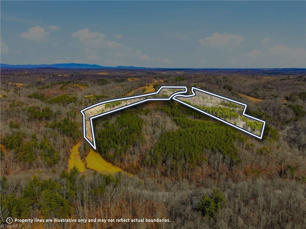 1324 Hardie Mabe Road Danbury, NC 27016 - Photo 3 of 40 Gallery Image 3