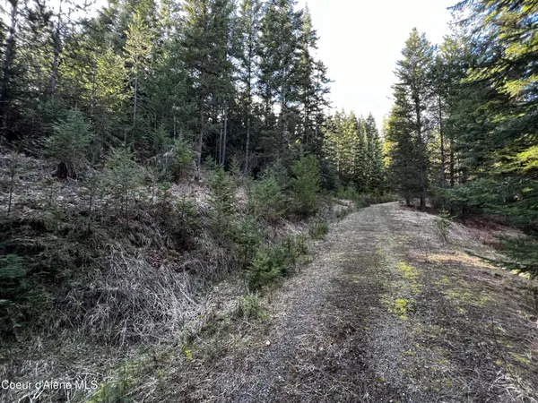 $259,000 | 6.94-ac Bear Creek Road, Kingston, ID 83839
