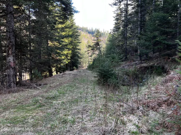 $259,000 | 6.94-ac Bear Creek Road, Kingston, ID 83839
