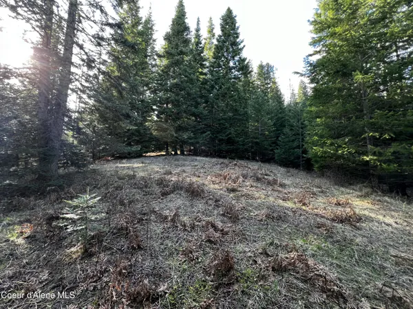 $259,000 | 6.94-ac Bear Creek Road, Kingston, ID 83839