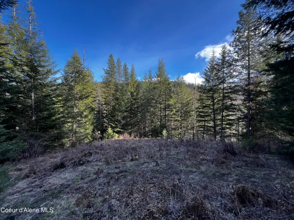 $259,000 | 6.94-ac Bear Creek Road, Kingston, ID 83839