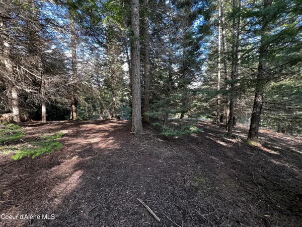 $259,000 | 6.94-ac Bear Creek Road, Kingston, ID 83839