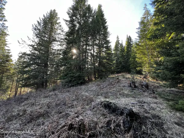 $259,000 | 6.94-ac Bear Creek Road, Kingston, ID 83839