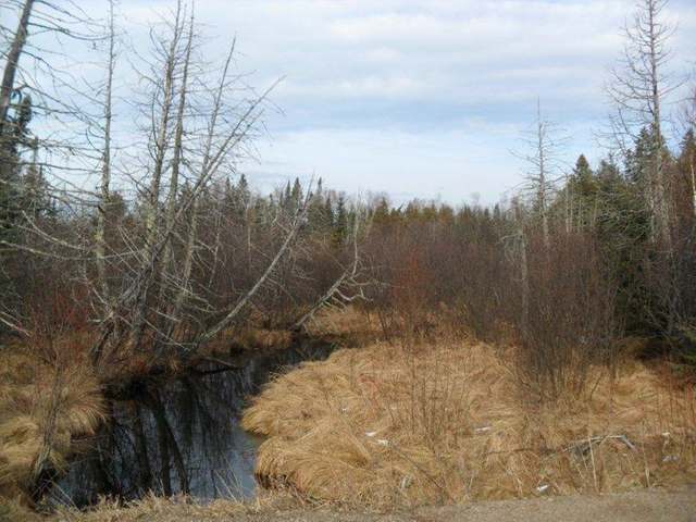 On Keith Siding Road, Unit 40N Crandon, WI 54520 - Photo 3 of 8 Gallery Image 3