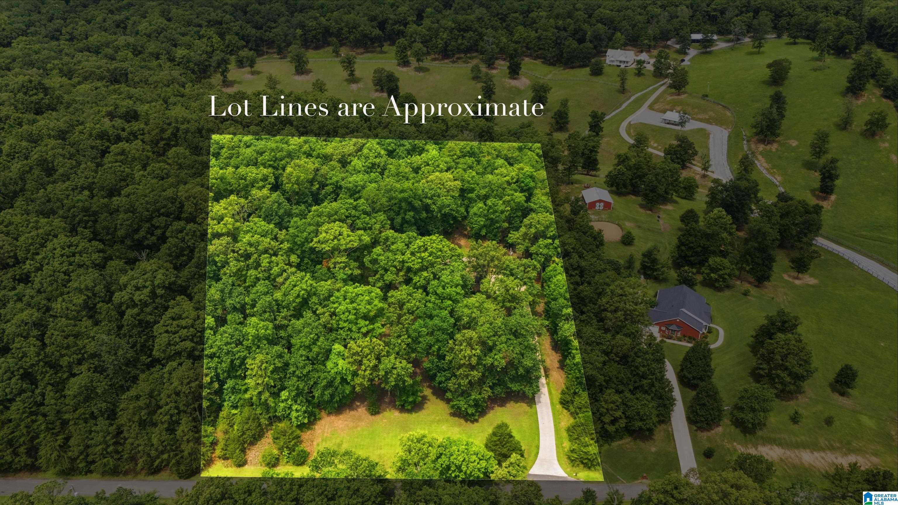 231 Country Ridge Road Montevallo, AL 35115 - Photo 53 of 60