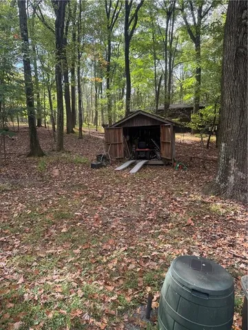 a view of a forest with trees in the background