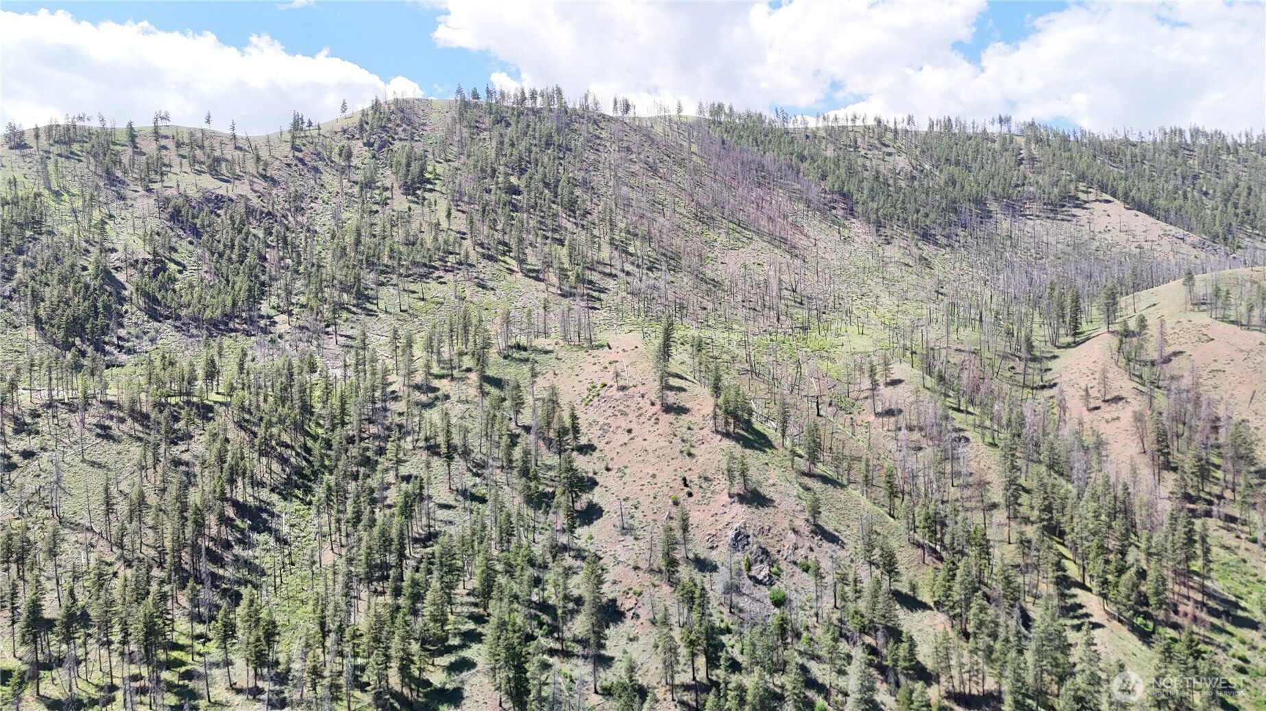 -xxx Gold Creek Loop Road Carlton, WA 98814 - Photo 3 of 14