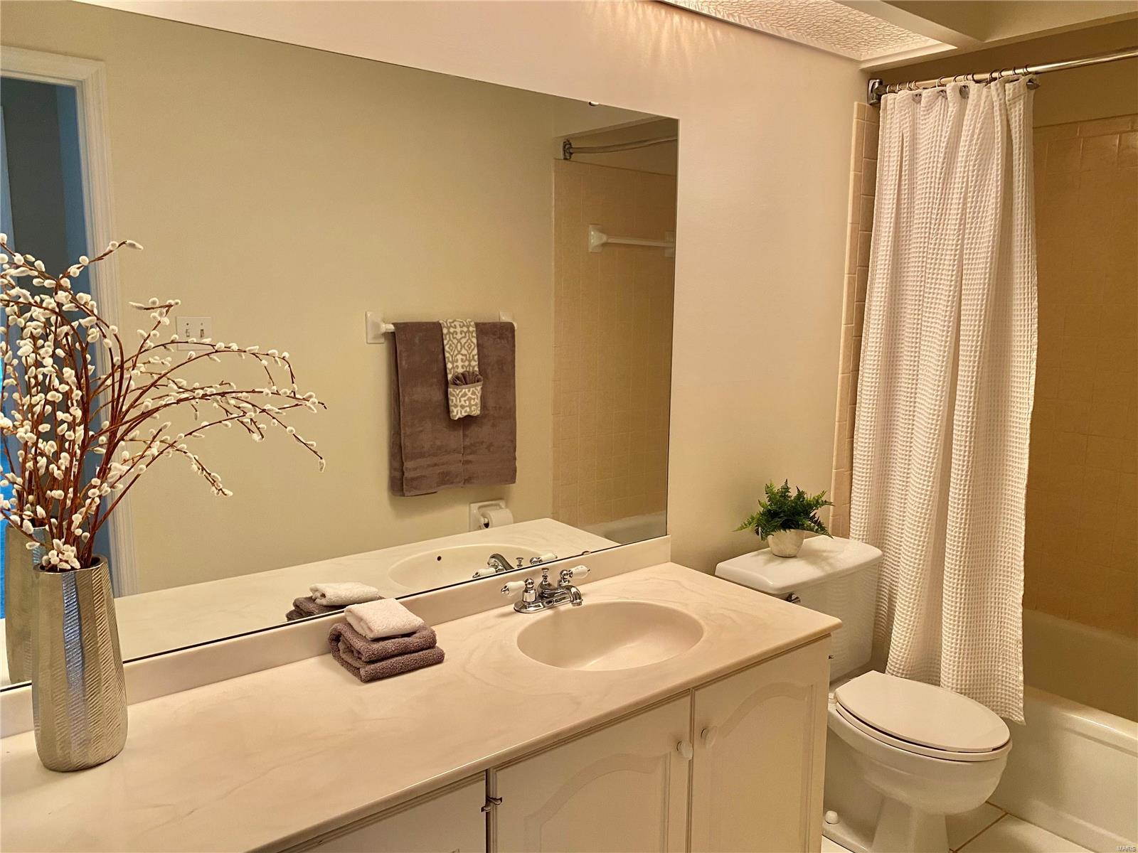 14719 Mill Spring Drive Chesterfield, MO 63017 - Photo 28 of 48