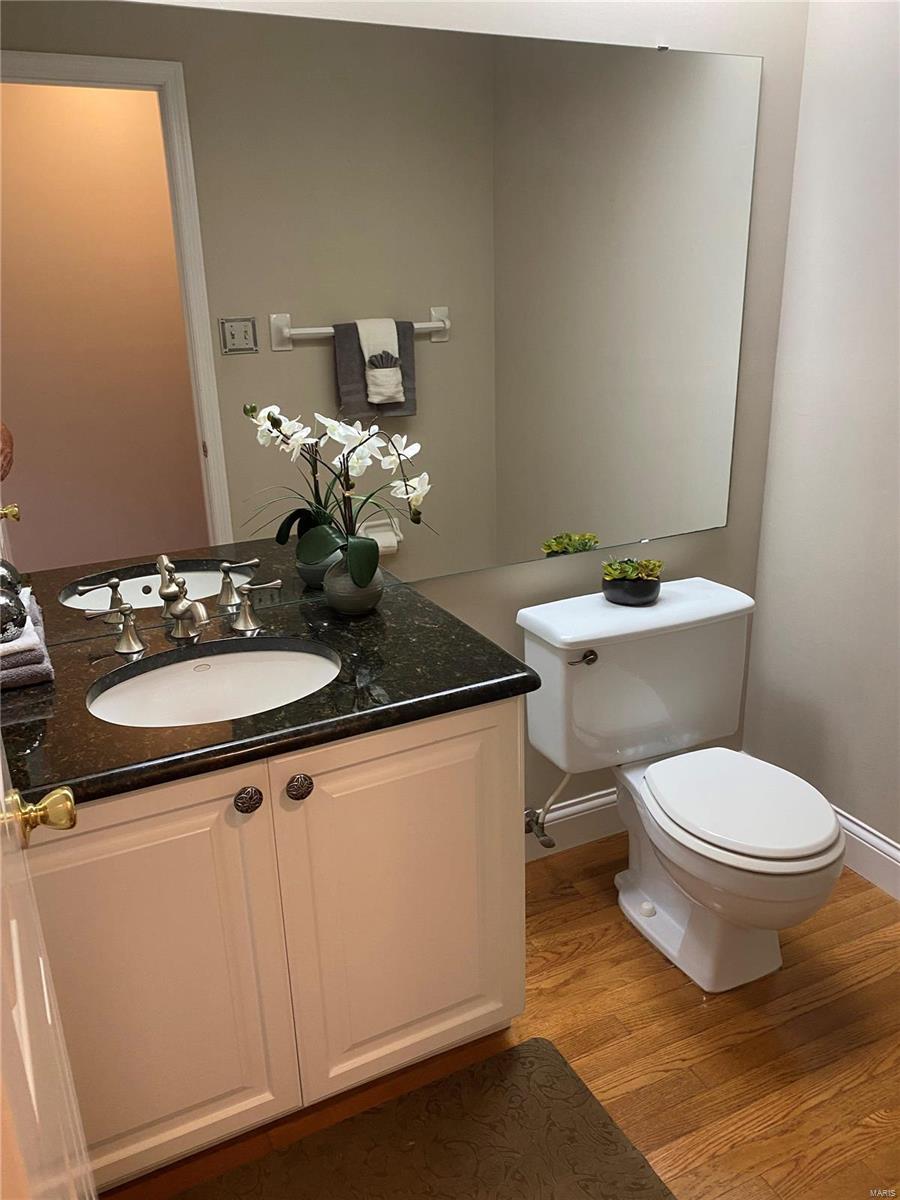 14719 Mill Spring Drive Chesterfield, MO 63017 - Photo 31 of 48