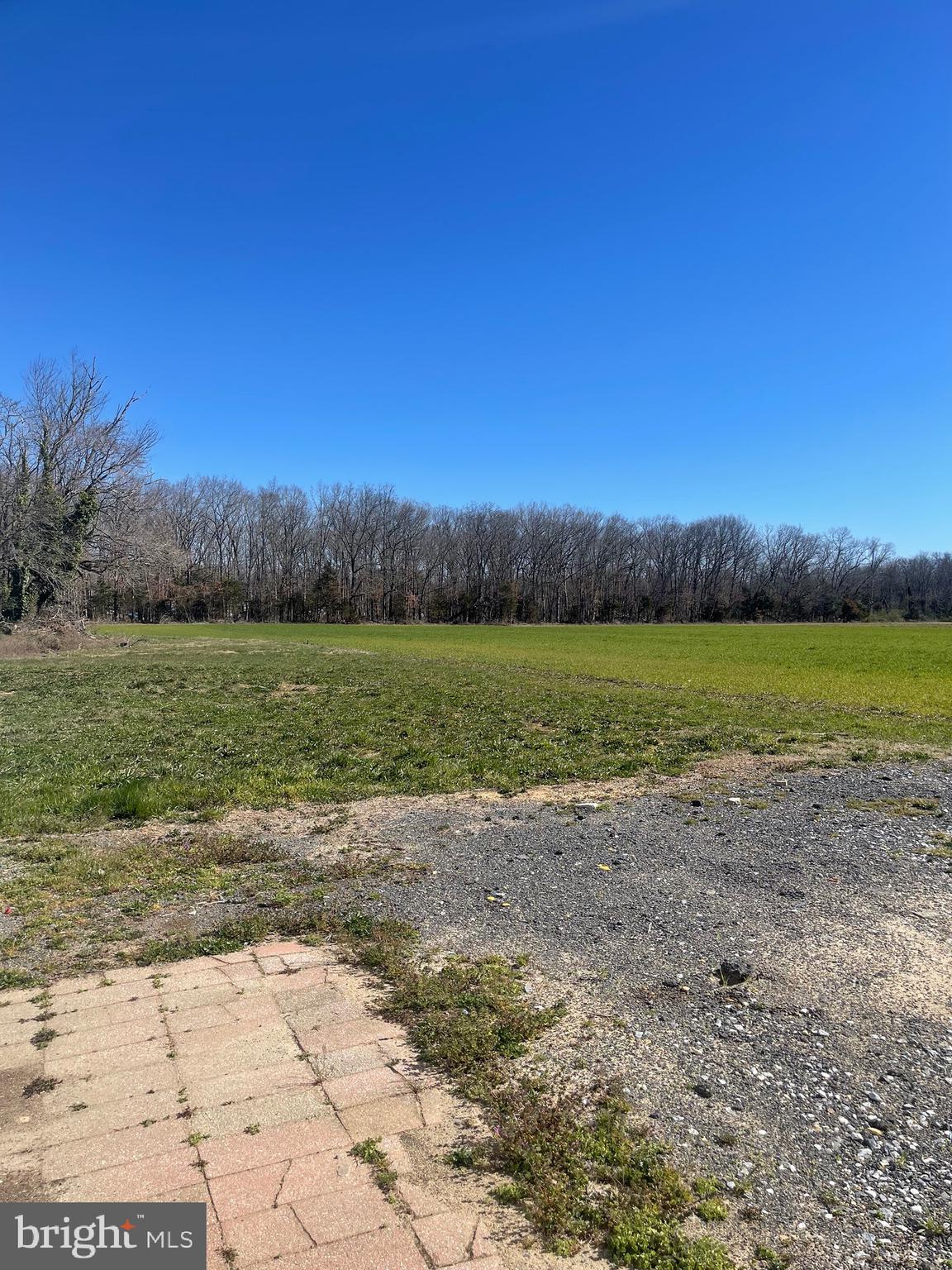a view of a lake with a yard