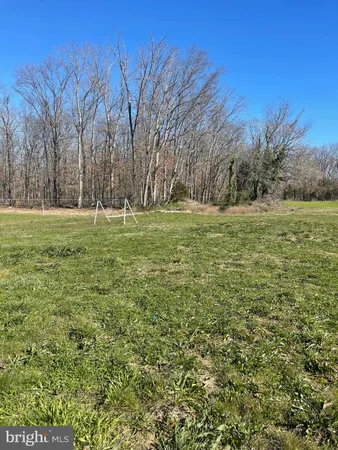 a big yard with lots of green space