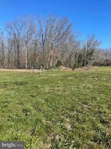 a big yard with lots of green space