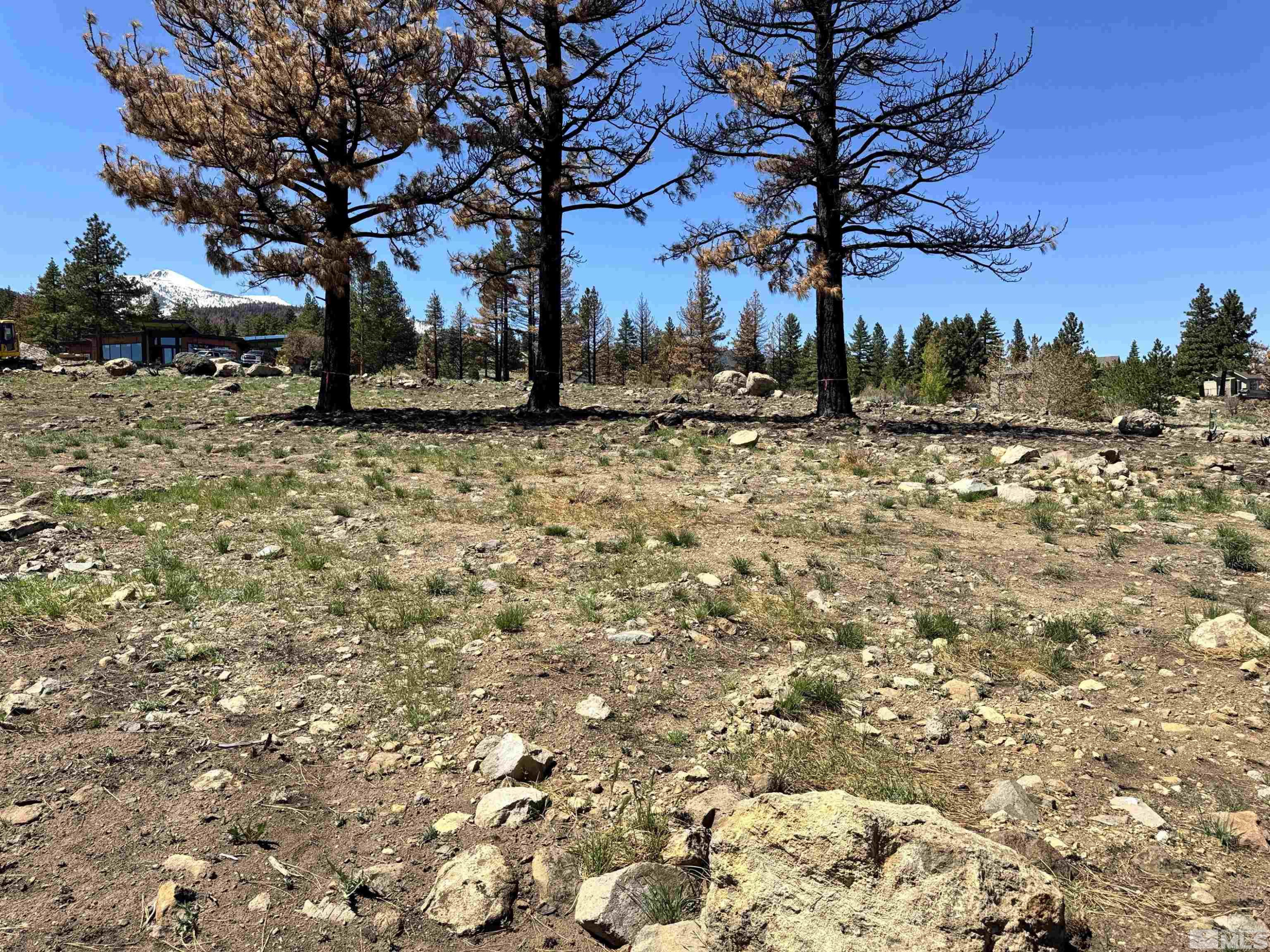 600 Sand Cherry Court Reno, NV 89511 - Photo 13 of 21 a view of outdoor space with lots of trees