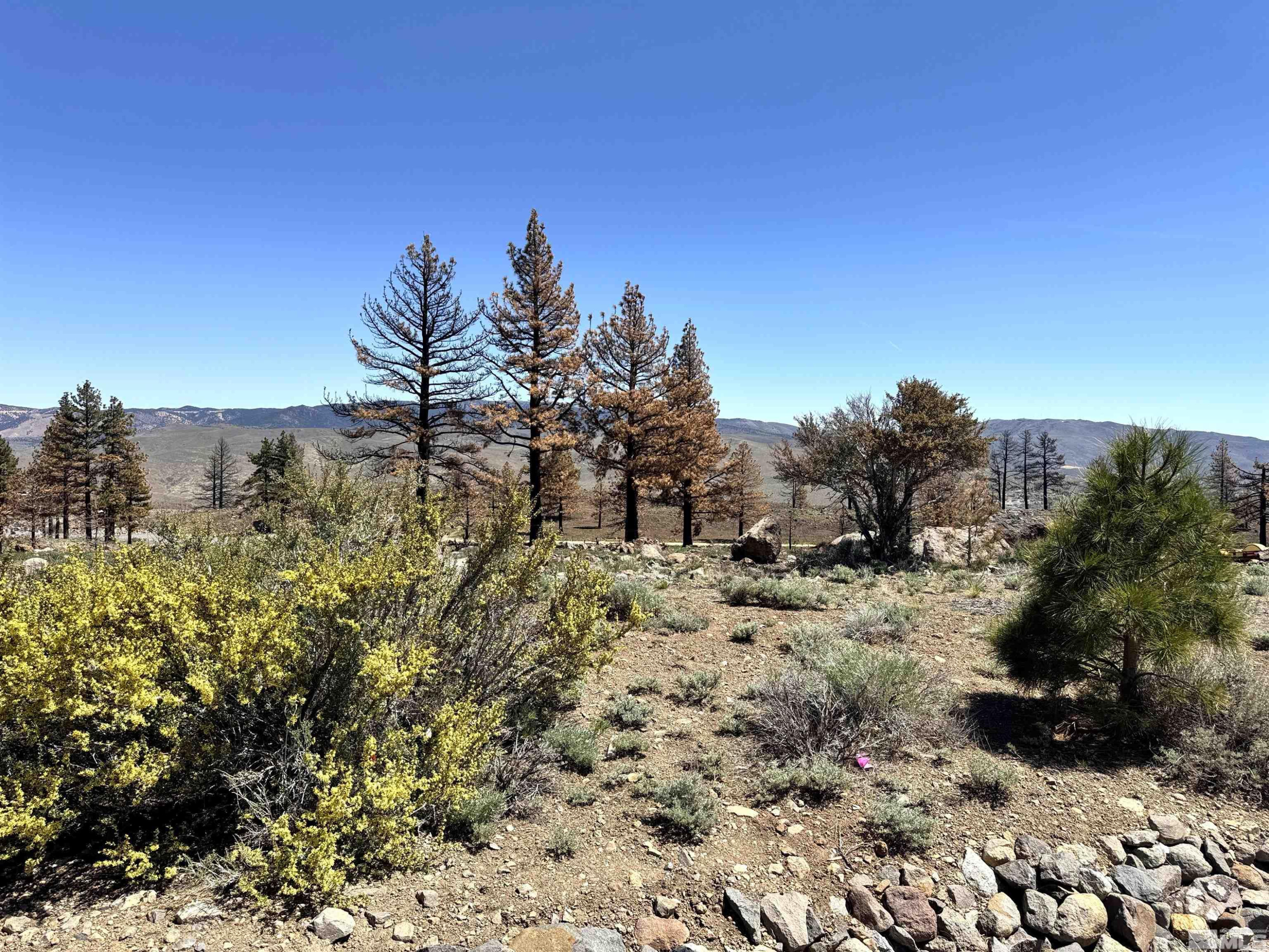 600 Sand Cherry Court Reno, NV 89511 - Photo 14 of 21 a view of a dry yard with trees and mountains in the background
