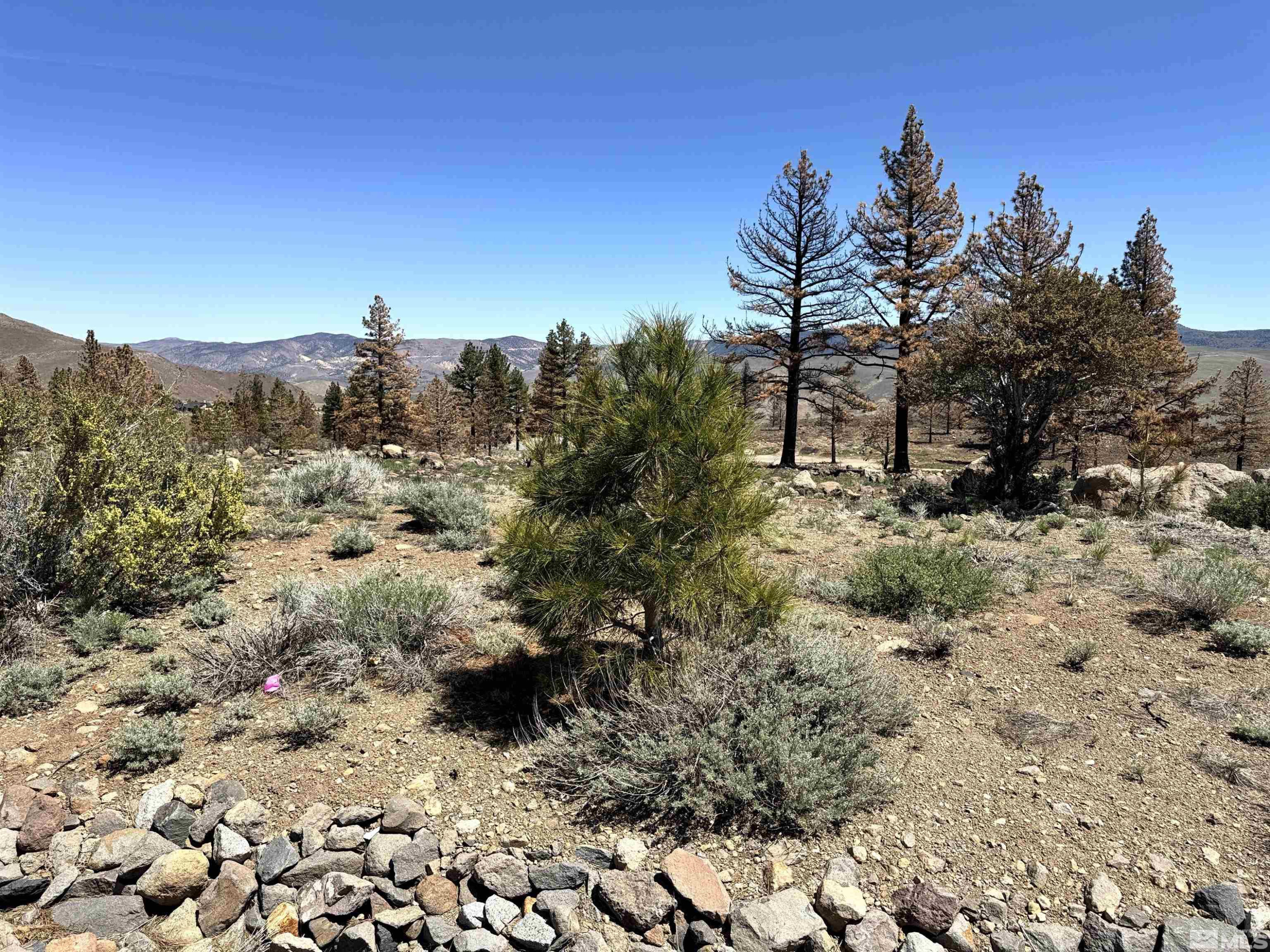 600 Sand Cherry Court Reno, NV 89511 - Photo 15 of 21 a view of a covered with trees in the background
