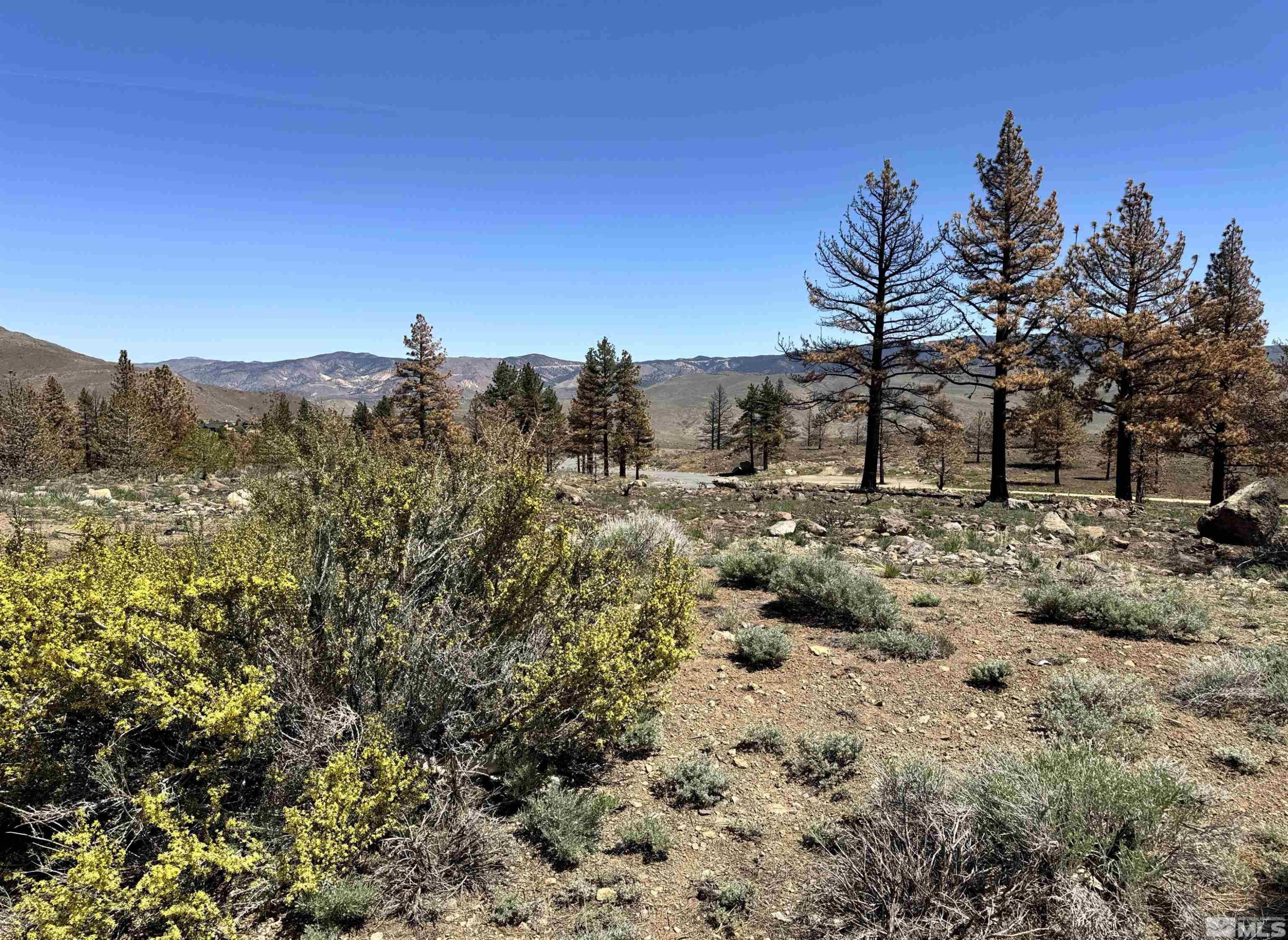 600 Sand Cherry Court Reno, NV 89511 - Photo 16 of 21 a view of a covered with trees in the background